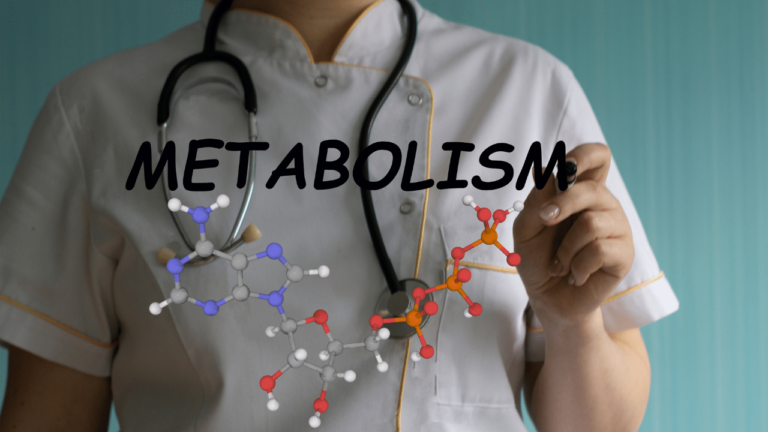 Metabolic Processes